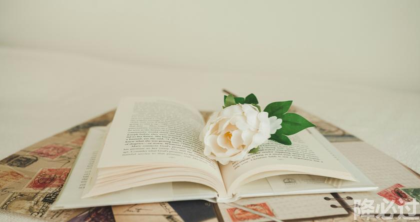 降必过AI率,降必过降AIGC,降必过官网,降必过论文降重系统,降必过论文查重检测平台